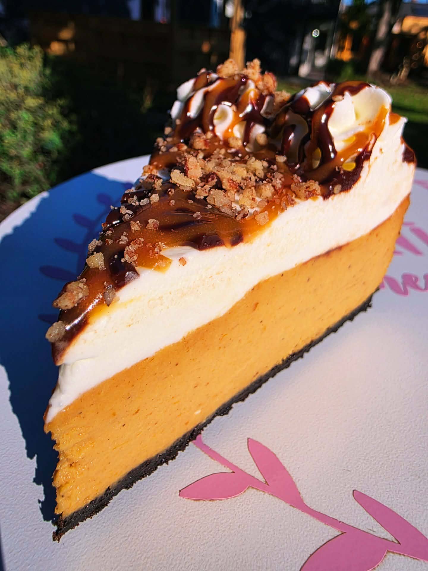 Tonya's-Caramel-Pumpkin-Turtle-Cheesecake